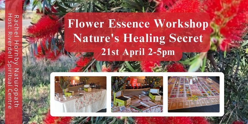 Natures Healing Secret - Flower Essence Workshops - 21st April at Riverdell Spiritual Centre