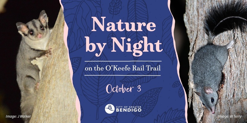 Nature by Night on the O'Keefe Rail Trail