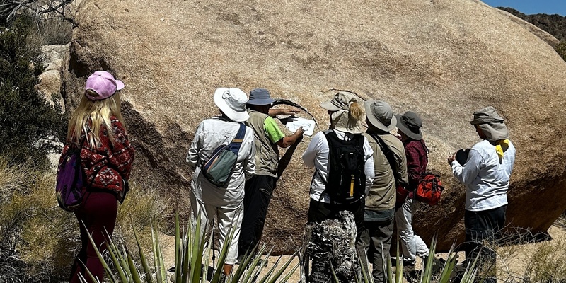 Rocks and Minerals of Joshua Tree National Park