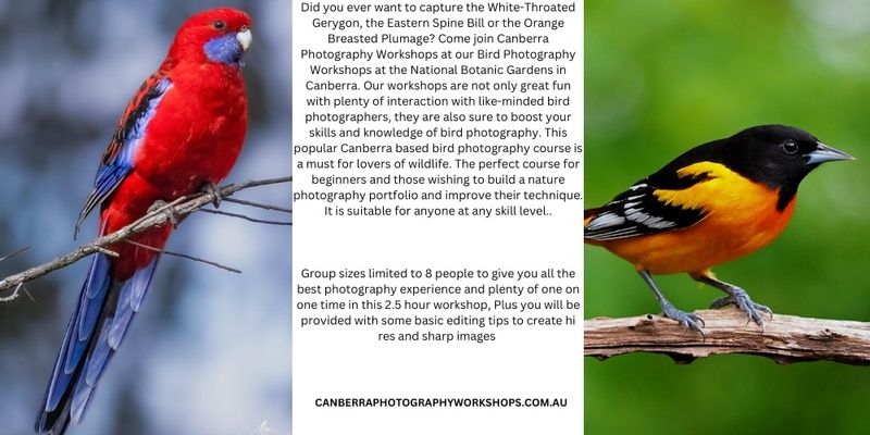 Bird Photography Workshop 2024