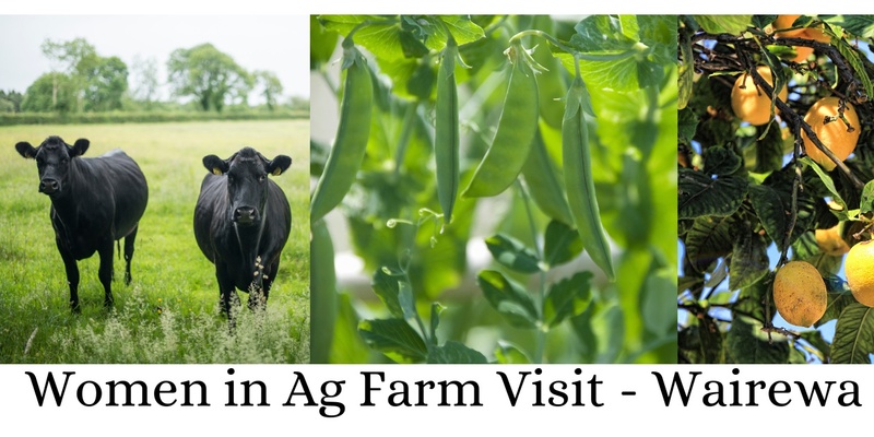 Wairewa Farm Visit - Women in Ag