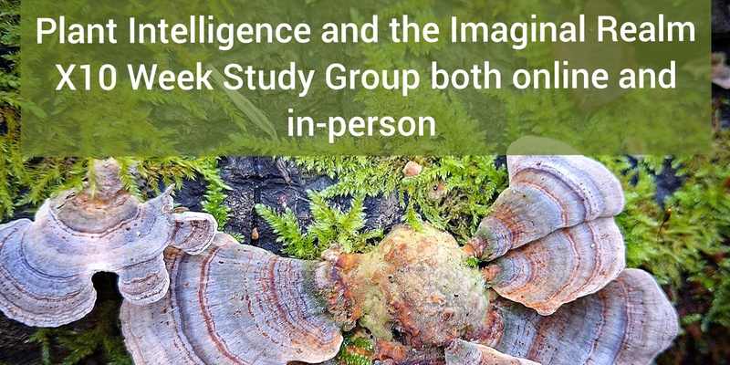 Plant Intelligence and the Imaginal Realm, x10 Week Online and In-Person Study Group 