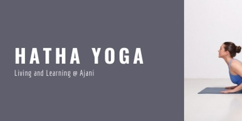 Hatha Yoga (Monday morning) (Term 1 2024)
