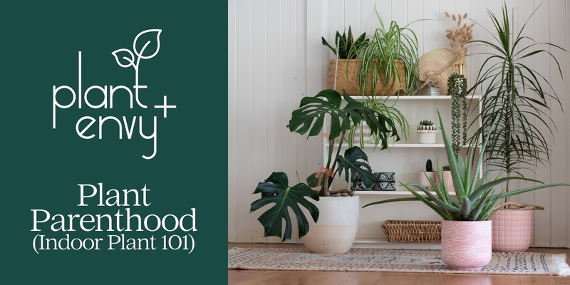 Plant Parenthood (Indoor Plants 101)