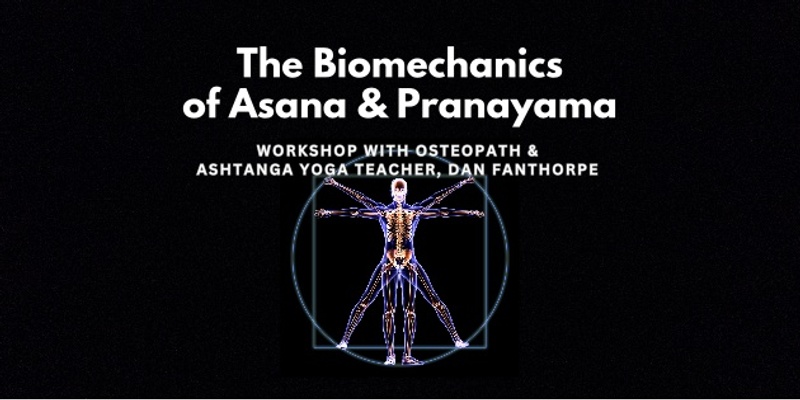 The Biomechanics of Asana & Pranayama