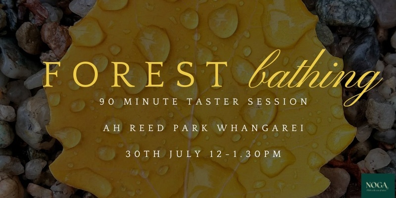 Forest Bathing Taster Session