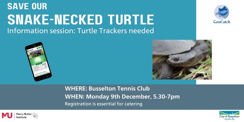 Save our snake-necked turtle community volunteer information session