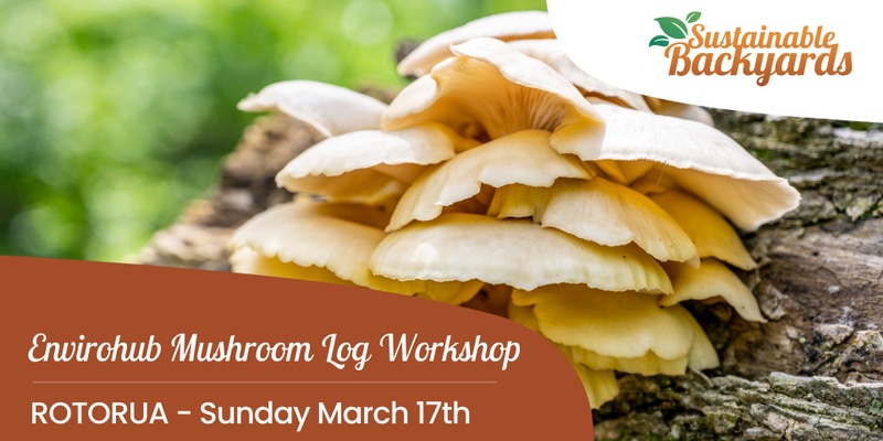 Envirohub Mushroom Log Workshop