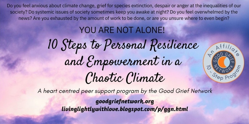 10 Steps to Resilience and Empowerment in a Chaotic Climate - peer support for living in polycrisis