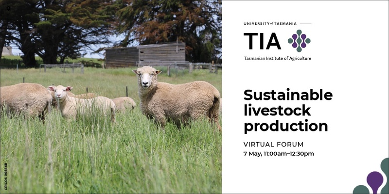 Future Forum: Ensuring a sustainable future for Australia's ruminant livestock production