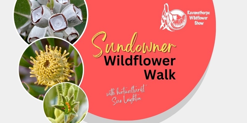 Sundowner Wildflower Walk with Sue Leighton 