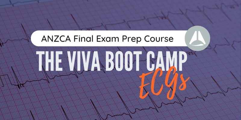 ECG Session 2025a