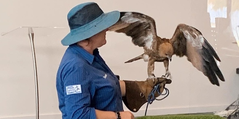 WA Birds of Prey @ Byford Library