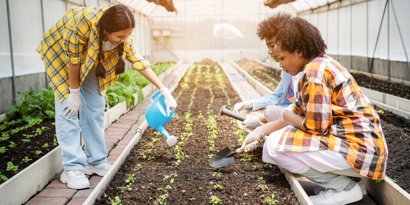 TiPS - Hand the Work over to the Adolescents!