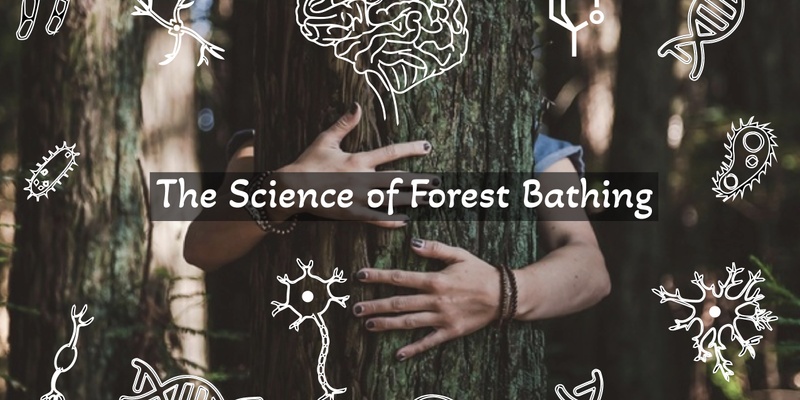 The Science of Forest Bathing