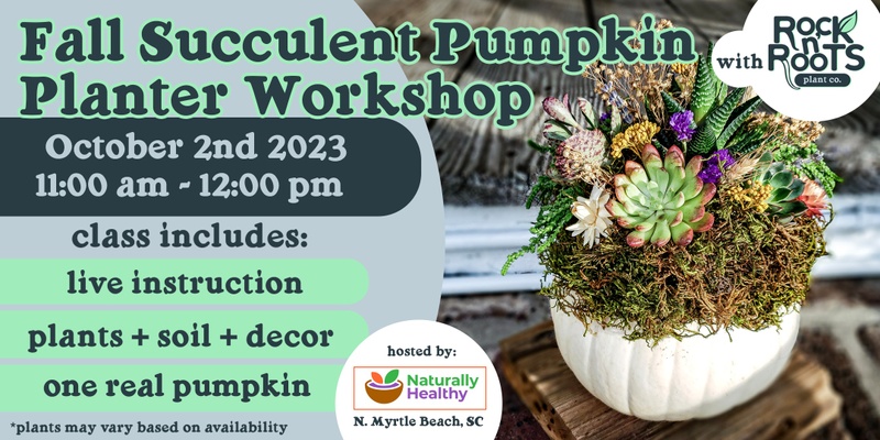 Fall Succulent Pumpkin Planter Workshop at Naturally Healthy (North Myrtle Beach, SC)