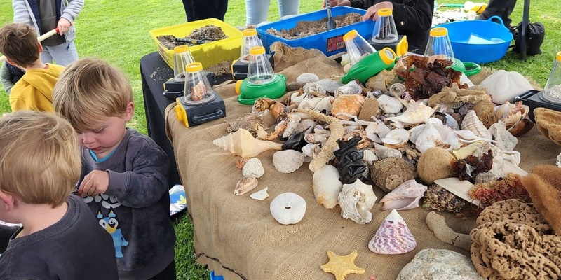 Fleurieu Marine Education Interactive Stall - Yankalilla Show