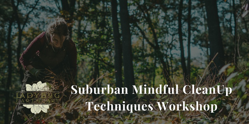 Suburban Homestead Mindful CleanUp Techniques Workshop