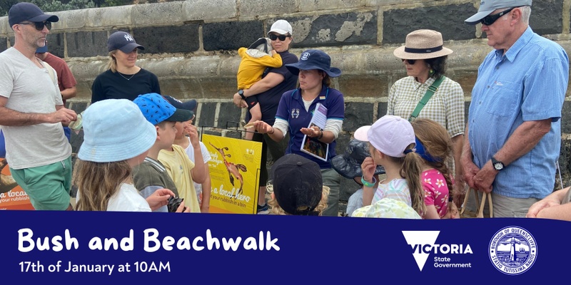 Beach and Bushwalk at Shortlands Bluff 