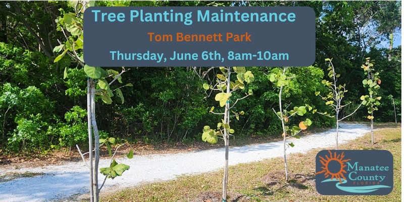 Tree Planting Maintenance