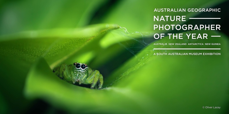 2024 Australian Geographic Nature Photographer of the Year Exhibition | School Bookings