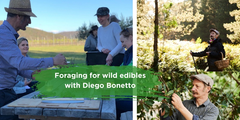 Foraging for wild edibles. Presented by Diego Bonetto.