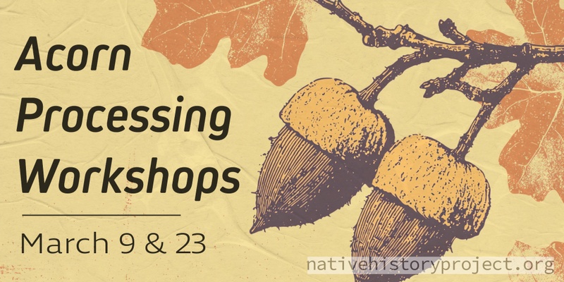 Acorn Processing Workshops