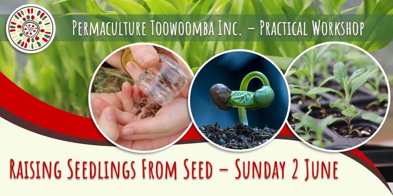 Raising Seedlings from Seed - Practical Workshop