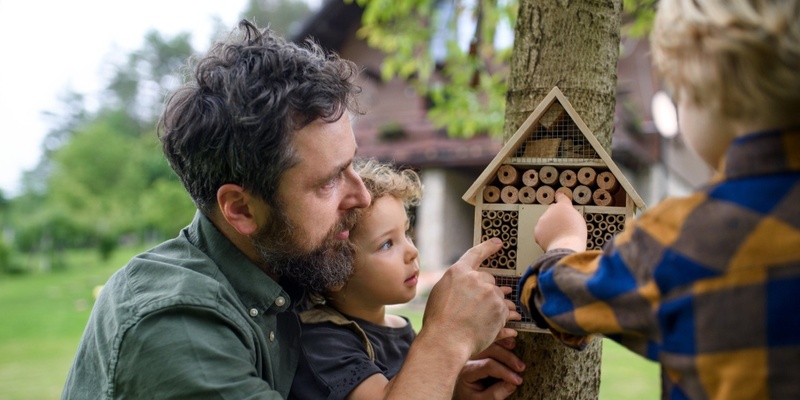 Animal habitats (ages 3 to 5)