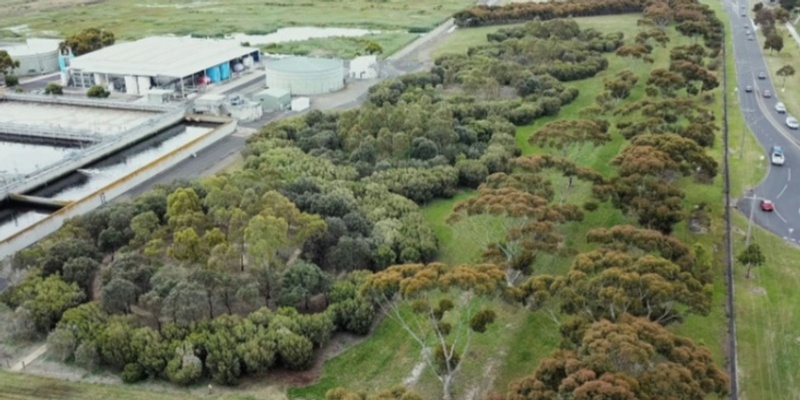 A Forest for Australia and Altona Treatment Plant