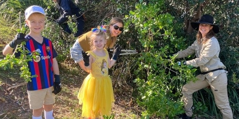 Bushcare for Beginners at Fred Hollows Reserve 