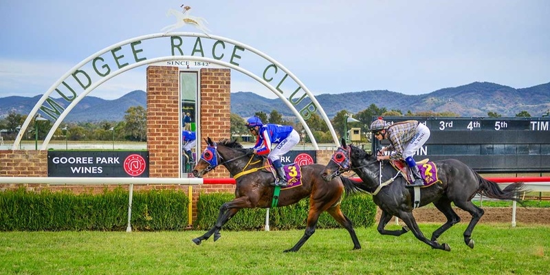 Mudgee Cup Gulgong Bus