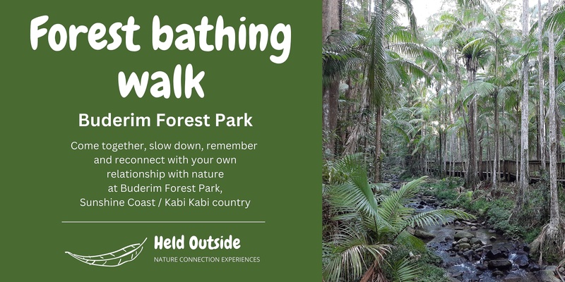 Forest Therapy at Buderim Forest Park 14 Jul 24