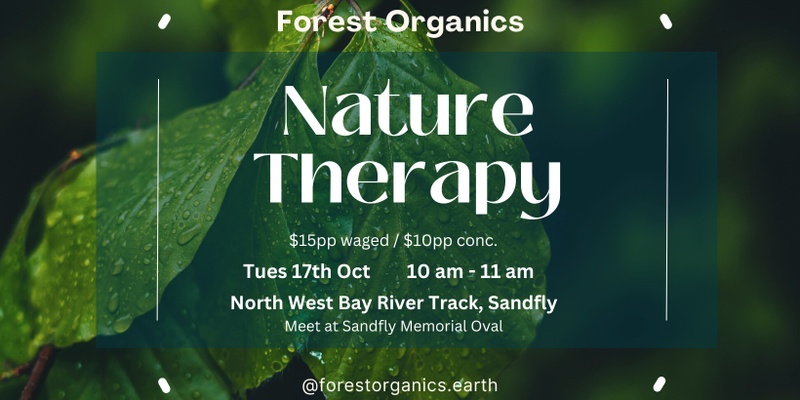 Nature Therapy with Forest Organics in SANDFLY (Tues 17th Oct)