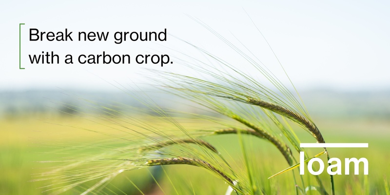Collarenebri - Carbon farming: separating fact from fiction.