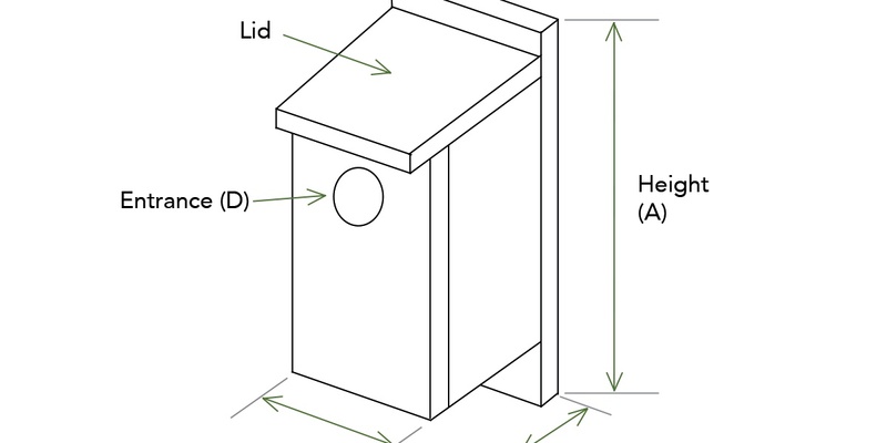 Nest Boxes - Construction