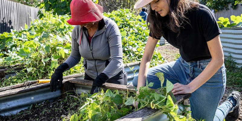 Healthy Garden Series: Weeds