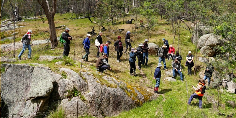 'Connecting Culture': Film screening and community celebration