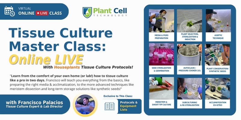  Online LIVE Tissue Culture Master Class: Houseplants