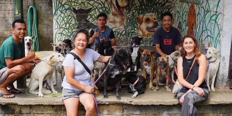 Bali Street Dogs Rehabilitation & Adoption Fundraiser with Paws For Change