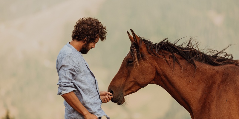 Matthias Geysen - Exclusive Horse Training Event at Ballina Surf Club