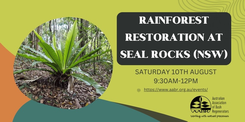Rainforest Restoration at Seal Rocks