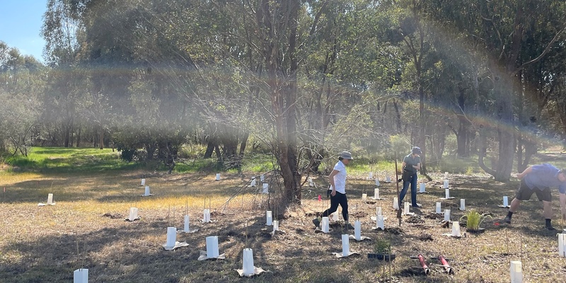 Tree Planting Day - Albury Campus