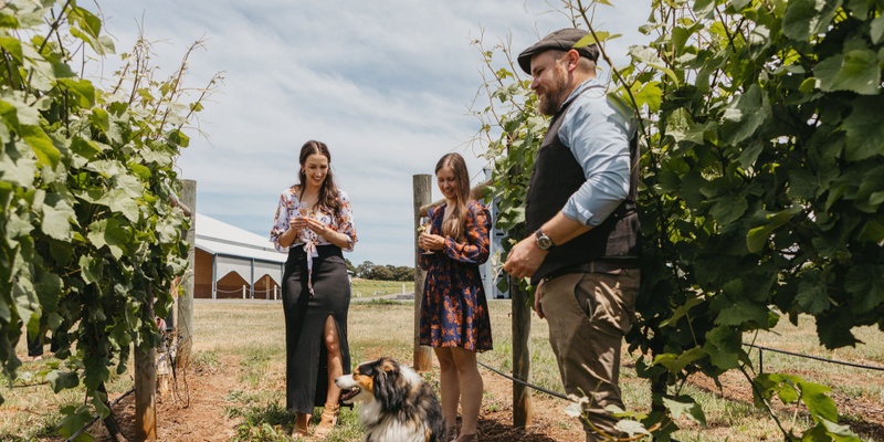 Arras Masterclass & Vineyard Tour