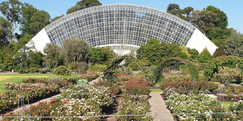 Guided Walk - Adelaide Botanic Garden (Park 11)