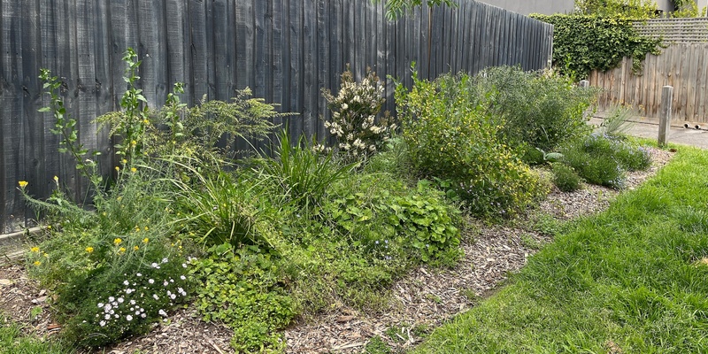 Rewilding Stonnington Working Bee at BEAMI Park