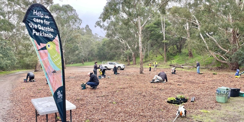 July Park Care Day at Darebin Parklands