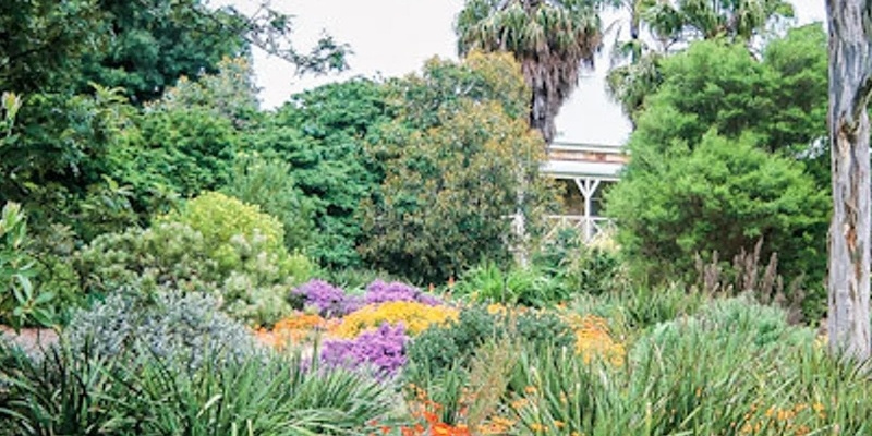 Wittunga Botanic Garden Guided Walk