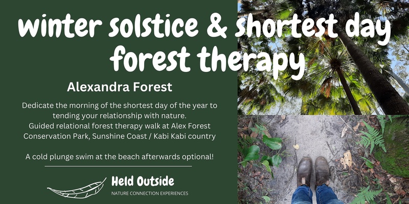 Winter Solstice Forest Therapy at Alex Forest 22 Jun 24