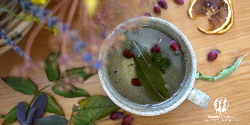 Nature Based Wellbeing: Botanical Tea Blending